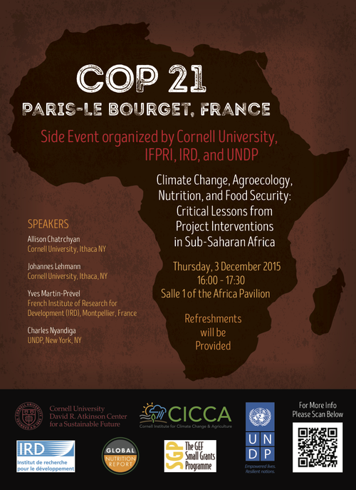 COP21 Cornell Side Event Africa Pavillion Flyer