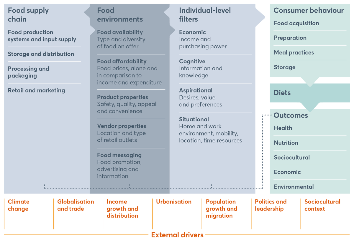 FIGURE 4.1 Food system framework
