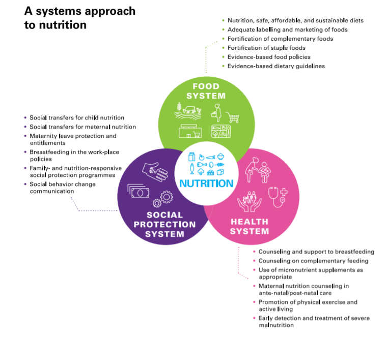 UNICEF Systems Approach to Nutrition Graphic